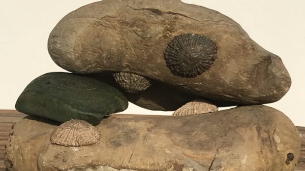 1 Escultura de las Sirenas Azules